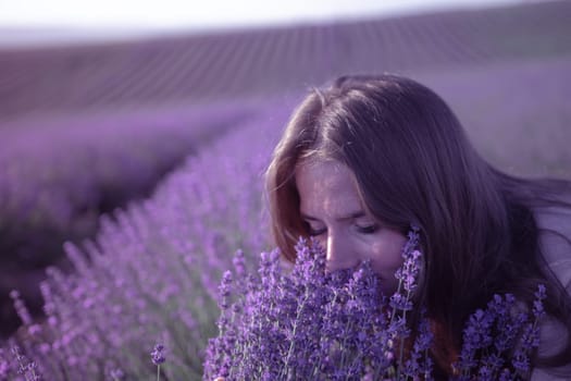 Lavender flower blooming scented fields in endless rows. Selective focus on Bushes of lavender purple aromatic flowers at lavender field. Abstract blur for background.