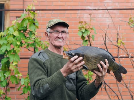 The fisherman holds a large river fish crucian carp in his hands.The concept of the use of fish in nutrition
