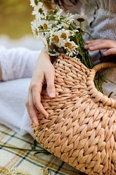 a woman gently touches the daisies lying in a wicker bag. photograph without a face. High quality photo