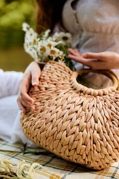 a woman gently touches the daisies lying in a wicker bag. photograph without a face. High quality photo