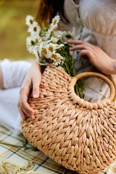 a woman gently touches the daisies lying in a wicker bag. photograph without a face. High quality photo