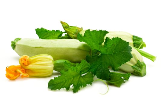 vegetable marrow with flowers. Diet food, vegetarianism. Flowers, leaves and fruits of young green zucchini isolated on white background
