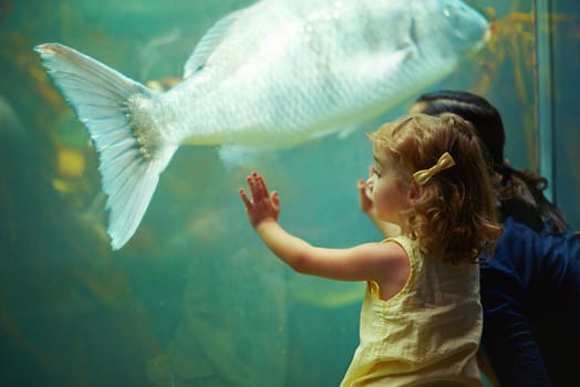 Mother, aquarium and girl looking at fish for learning, curiosity and knowledge, bonding and nature. Mom, fishtank and kid watching marine life or animals swim underwater in oceanarium on vacation