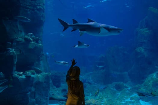 A young woman touches a stingray fish in an oceanarium tunnel.