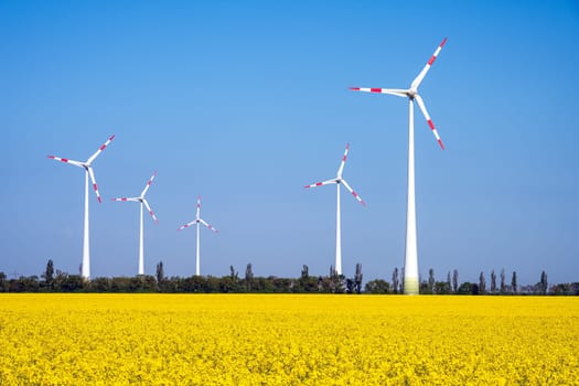 Wind turbines in a flowering rapeseed field seen in Germany