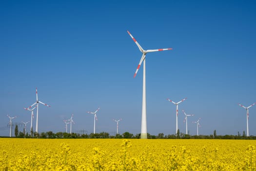 Wind turbines in a flowering canola field seen in Germany