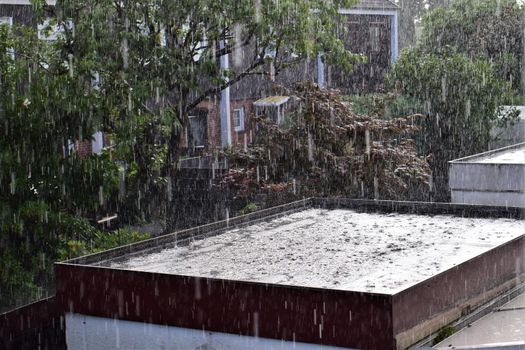 Heavy summer rain on a black flat roof against green bushes and trees and houses in the background