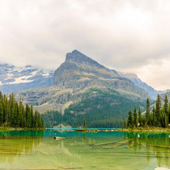 Idyllic Lake O'Hara in Yoho National Park, Alberta Canada