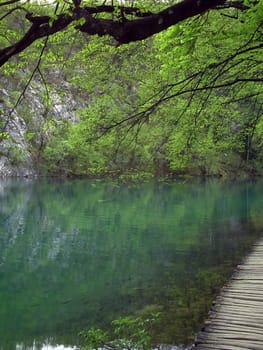 Beautiful lakes in Plivice National Park