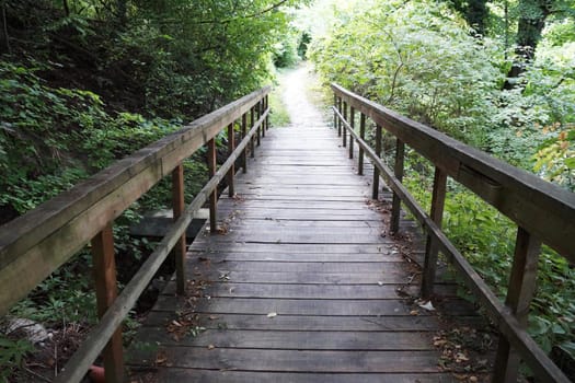 wooden footbridge over a stream in the forest.