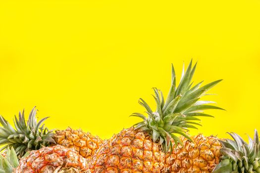 Beautiful fresh pineapple isolated on bright yellow background, summer seasonal fruit design idea pattern concept, copy space, close up