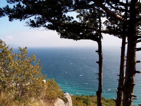 Beautiful view from mountains on seaside town near Yalta, Crimea, sky, blue sea water, pine, fir, coniferous tree on rocks
