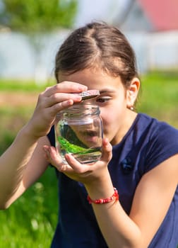 Child in nature with a lizard. Selective focus. Kid.