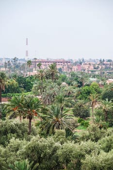 marrakech morocco rooftop view