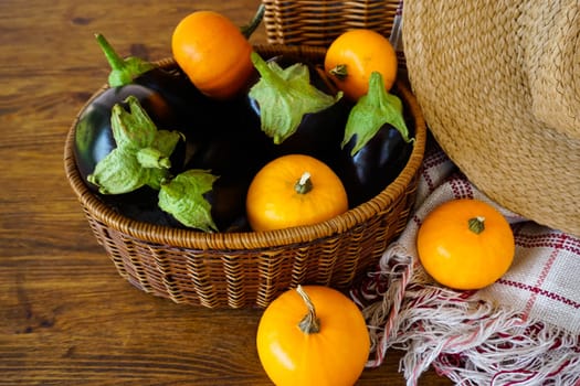 In a wicker basket there are eggplants and decorative pumpkins