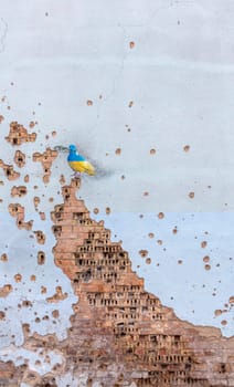 Shelled wall with a drawing of a dove in the colors of the flag of ukraine, blue and yellow. The dove is a symbol of purity, light, peace, love, the human soul. Ukraine, Kyiv - May 06, 2023