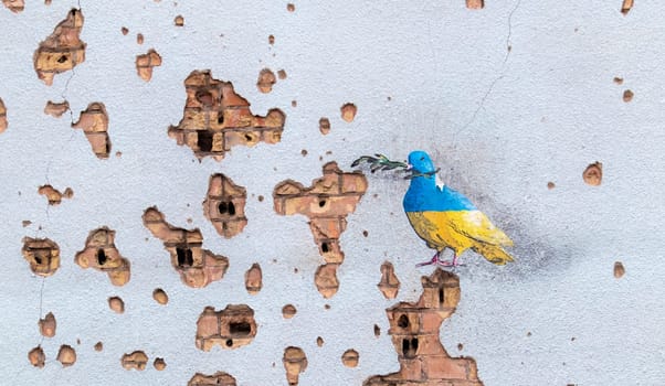 Shelled wall with a drawing of a dove in the colors of the flag of ukraine, blue and yellow. The dove is a symbol of purity, light, peace, love, the human soul. Ukraine, Kyiv - May 06, 2023
