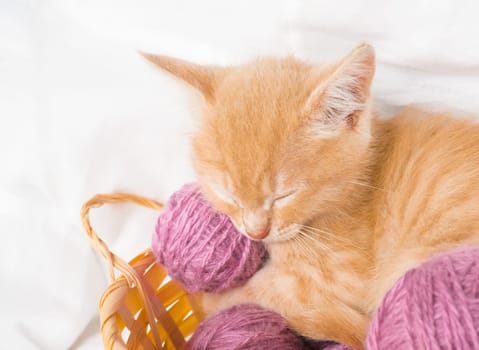 Ginger kitten sleeps in a straw basket with pink balls, skeins of thread on a white bed