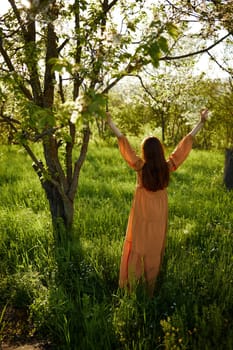 a beautiful, joyful woman stands in a long orange dress, in the countryside, near a tree blooming with white flowers, during sunset, illuminated from behind and raises her hands up while standing with her back to the camera. High quality photo