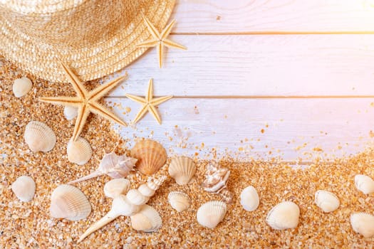 Sand seashells background. Summer time concept with sea shells and starfish on wooden background and sand.