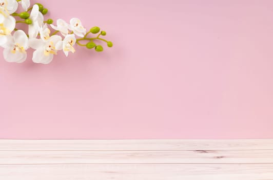 Wooden floor and white orchid decorate on pink color background, empty room for background.