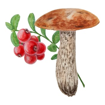 Watercolor hand drawn compostion of forest wild berries and mushroom. Realistic botanical illustration of red juisy cranberry and boletus. Great for printing on fabric, postcards, invitations, menus, book of recipes, labels, stickers