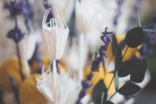 Floral background from various unusual flowers close-up.