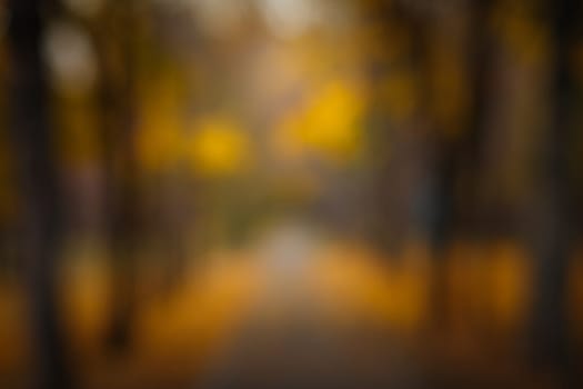 Blurred background from photo of autumn park alley at sunset.