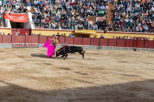 March 26, 2023 Lisbon, Portugal: Tourada - bullfighter provokes the injured bull with a bright rag. Mid shot