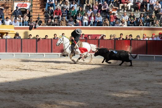 March 26, 2023 Lisbon, Portugal: Tourada - bullfighter on horseback provokes a bull with red flag. Mid shot