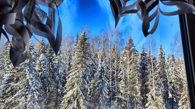 Beautiful snow covered forest with fir is visible from window