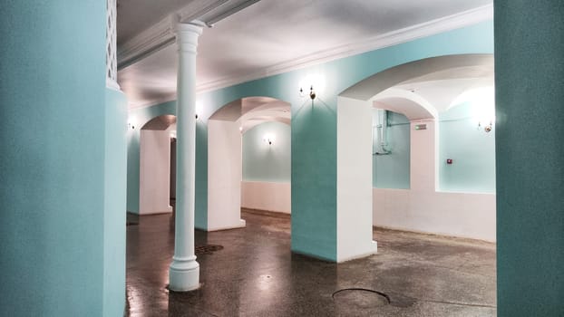 Interior, empty apartment classic, large room with big green and white columns