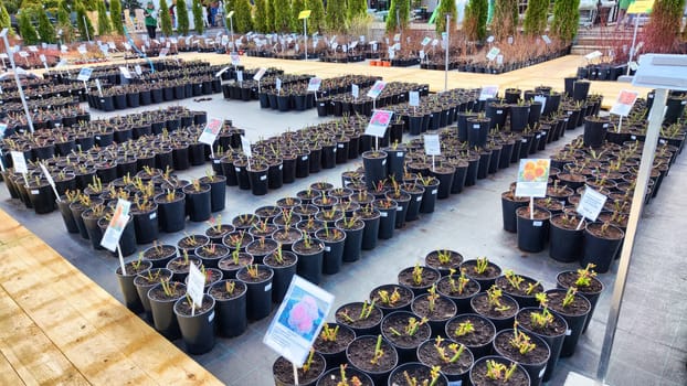 Kirov, Russia - April 23, 2023: Garden centre, plant nursery. Shopping center for the sale of flowers for garden in early spring or summer day