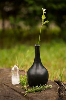 Wiccan witch altar with alchemy ingredients around, sack of medicinal herbs wizard table background, magic quartz crystal stump in forest