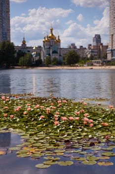 Beautiful Kiev city park lake of lotuses against background of urban city with many multi-colored water lilies in green European capital. Concept of nature in metropolis