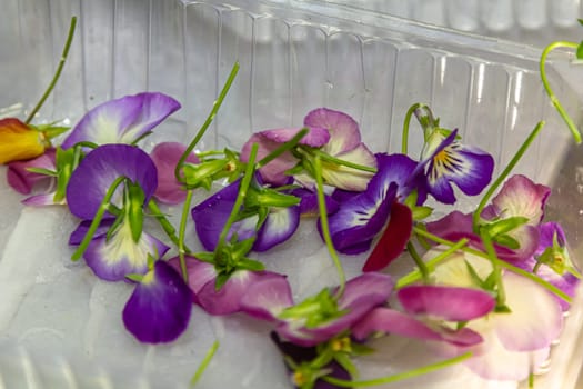 edible flowers for salad decoration/