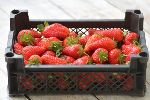 Ripe delicious strawberries in a white plastic container on a wooden background