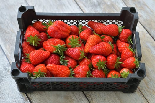 Ripe delicious strawberries in a white plastic container on a wooden background