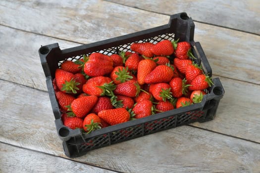 Ripe delicious strawberries in a white plastic container on a wooden background