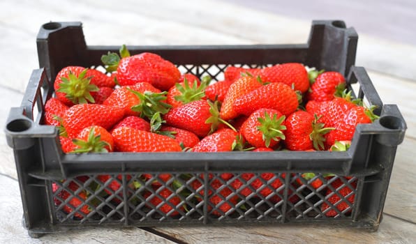 Ripe delicious strawberries in a white plastic container on a wooden background