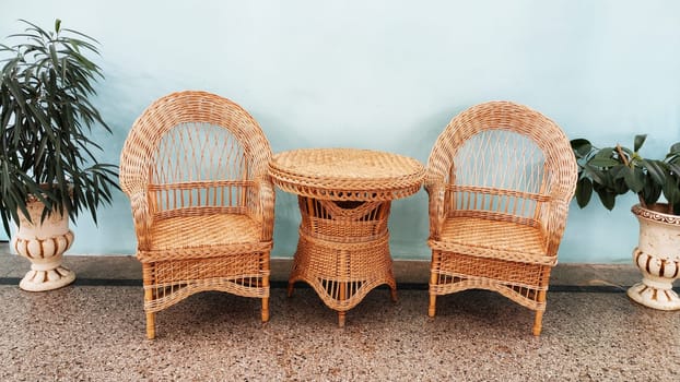 Interior with different green house flowers in pots and wicker chairs on floor. Winter garden in an empty hall