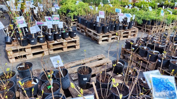 Kirov, Russia - April 23, 2023: Garden centre, plant nursery. Shopping center for the sale of flowers for garden in early spring or summer day