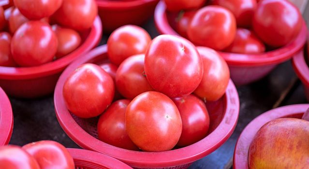 Delicious fresh tomatoes fruit vegetable food in red plastic basket at tradition market afternoon, Seoul, South Korea, harvest concept, close up.