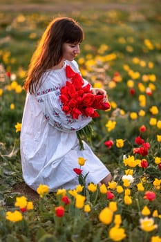 Woman field tulips sunset. Woman against sunset and wild tulip flowers, natural seasonal background. Multi-colored tulips Tulipa schrenkii in their natural habitat are listed in the Red Book