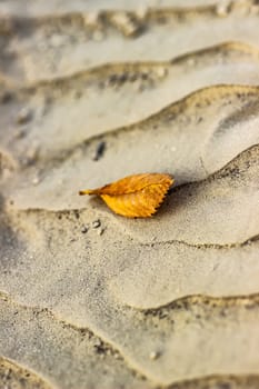 Cracked dry ground sand on the nature outdoors. Texture, background, sample