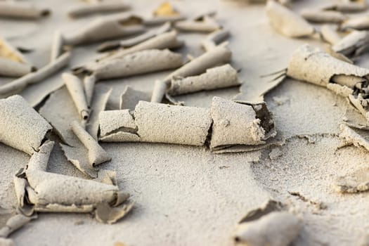 Cracked dry ground sand on the nature outdoors. Texture, background, sample