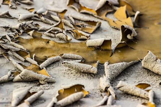 Cracked dry ground sand on the nature outdoors. Texture, background, sample