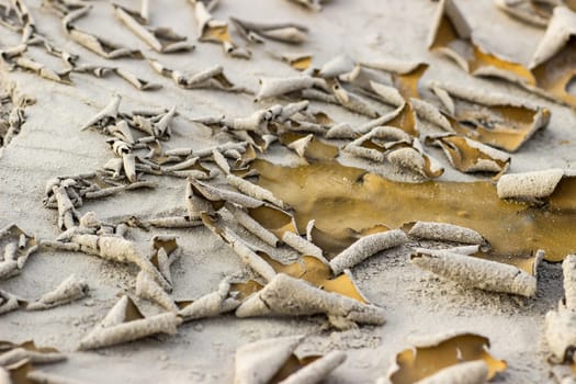 Cracked dry ground sand on the nature outdoors. Texture, background, sample