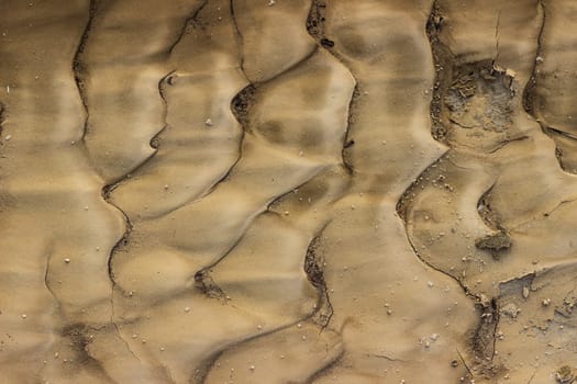 Cracked dry ground sand on the nature outdoors. Texture, background, sample