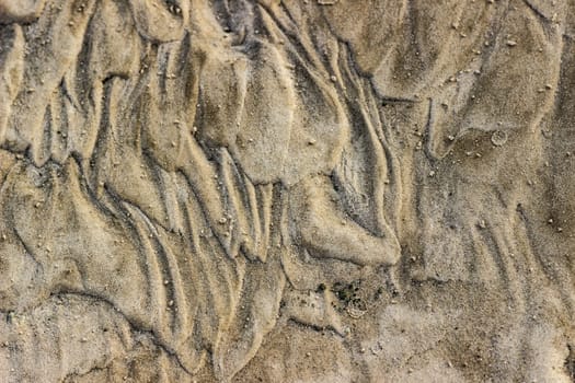 Cracked dry ground sand on the nature outdoors. Texture, background, sample